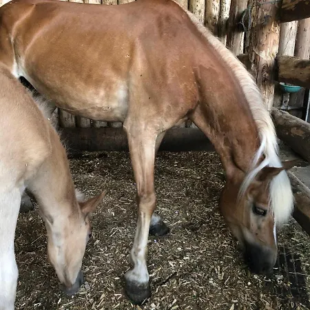 Campeggio Zillerglueckhuette - 5 Sterne Aufenfeld Aschau Im Zillertal
